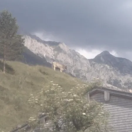 Holzhaus Besler Casa de Férias