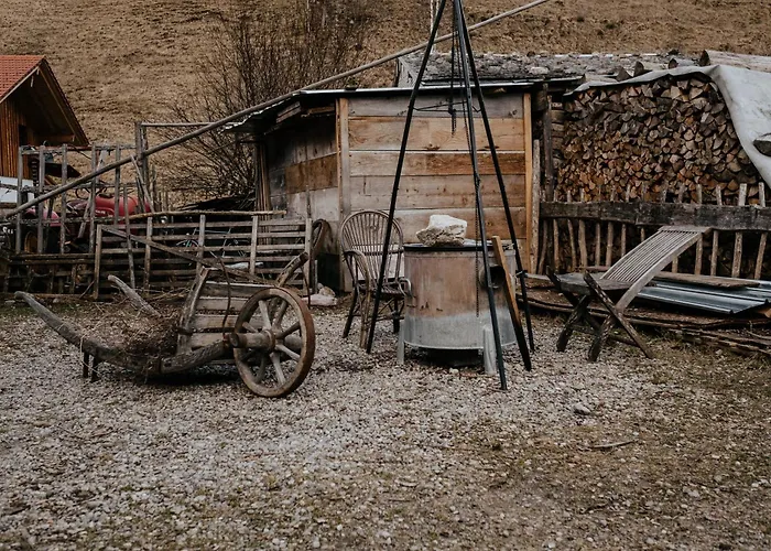 Holzhaus Besler 度假居